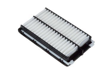 RAF Filter AF009 Фильтр воздушный - 2