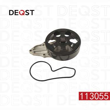 Deqst 113055 Водяной насос - 1