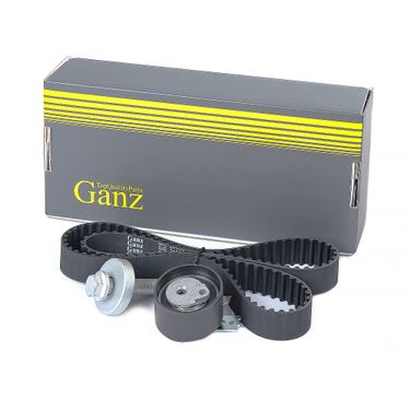GANZ GIE34003 Ремкомплект ГРМ renault - 1