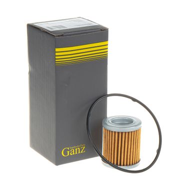 GANZ GIH02015 Фильтр акпп - 1