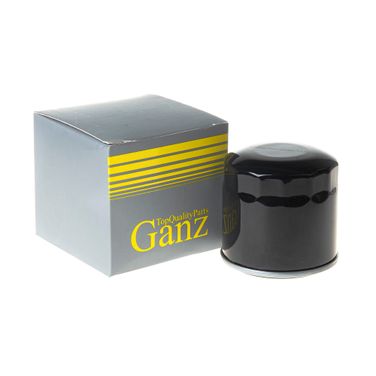 GANZ GIH02052 Фильтр акпп - 1