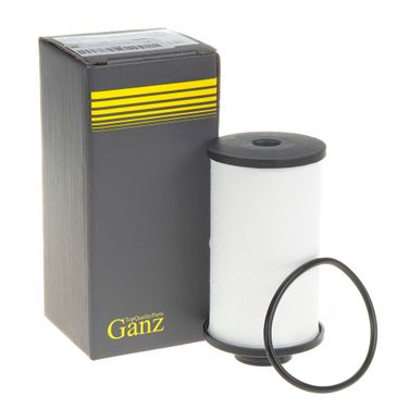 GANZ GIH02060 Фильтр акпп с прокладками - 1
