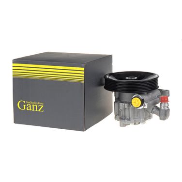 GANZ GIL02024 Насос ГУРа MB ML II (w164)/gl (x164)/r(w251) - 1