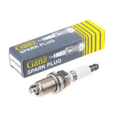 GANZ GIP22048 Свеча зажигания (5773) VAG A4/A6/Octavia/Golf IV/Passat B5 - 1