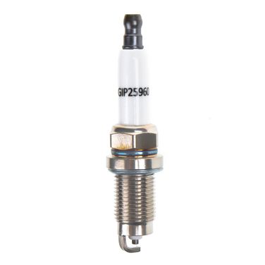 GANZ GIP25960 Свеча зажигания (5960) VAG - 3