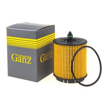 GANZ GIR01117 Фильтр масляный (вставка) - 1