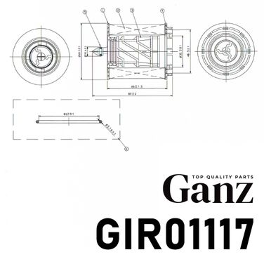 GANZ GIR01117 Фильтр масляный (вставка) - 4