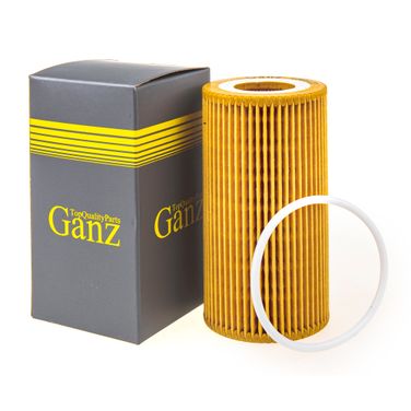 GANZ GIR01123 Фильтр масляный (вставка) - 1