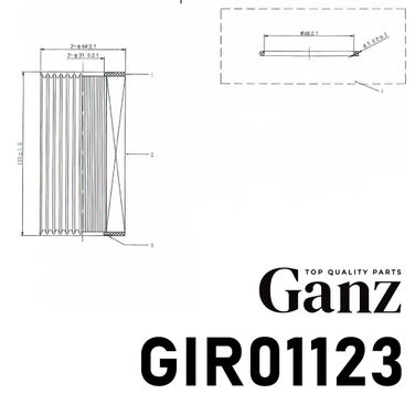 GANZ GIR01123 Фильтр масляный (вставка) - 4