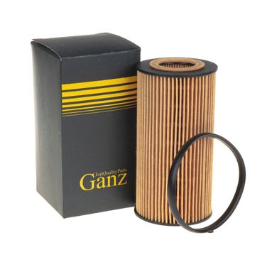 GANZ GIR01132 Фильтр масляный (вставка) - 1