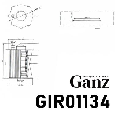GANZ GIR01134 Фильтр масляный (вставка) - 4