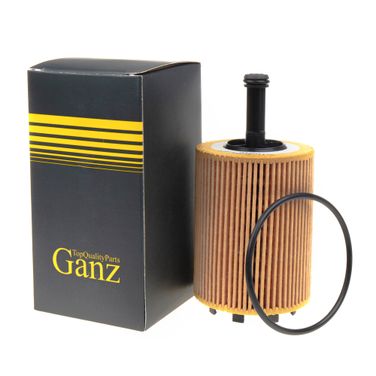 GANZ GIR01178 Фильтр масляный (вставка) - 1