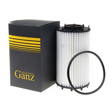 GANZ GIR01182 Фильтр масляный (вставка) - 1