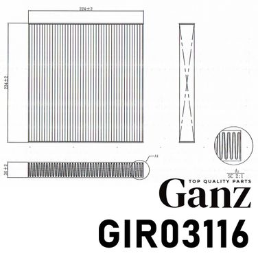 GANZ GIR03116 Фильтр салонный - 3