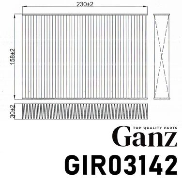 GANZ GIR03142 Фильтр салонный - 3