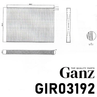 GANZ GIR03192 Фильтр салонный (угольный) - 4