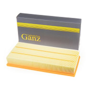 GANZ GIR04106 Фильтр воздушный - 1