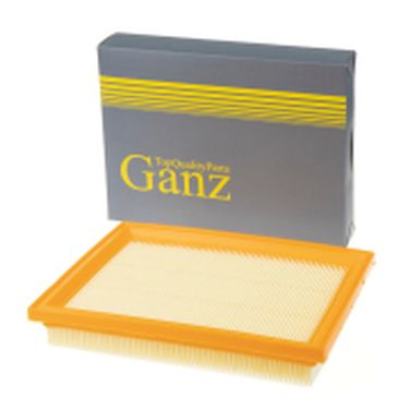 GANZ GIR04118 Фильтр воздушный - 1