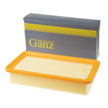 GANZ GIR04129 Фильтр воздушный - 1