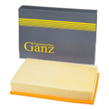 GANZ GIR04147 Фильтр воздушный - 1