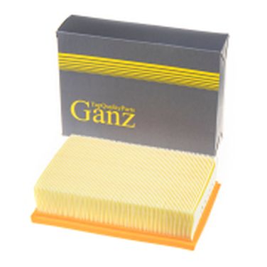 GANZ GIR04165 Фильтр воздушный - 1