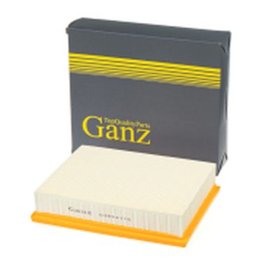 GANZ GIR04175 Фильтр воздушный - 1