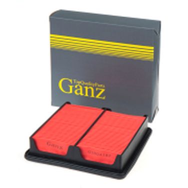 GANZ GIR04187 Фильтр воздушный - 1