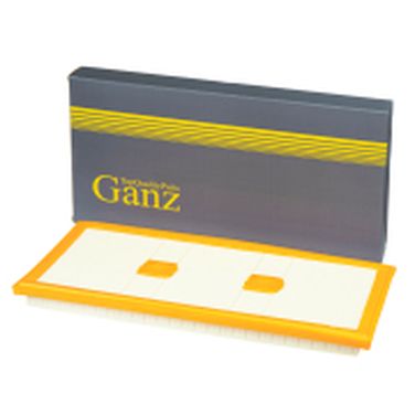 GANZ GIR04194 Фильтр воздушный - 1
