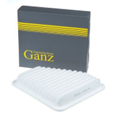 GANZ GIR04198 Фильтр воздушный - 1