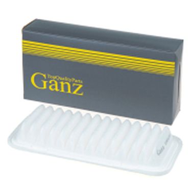 GANZ GIR04203 Фильтр воздушный - 1