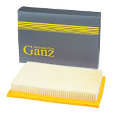 GANZ GIR04208 Фильтр воздушный - 1