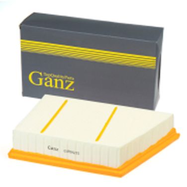 GANZ GIR04215 Фильтр воздушный - 1