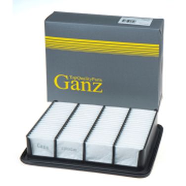 GANZ GIR04246 Фильтр воздушный - 1