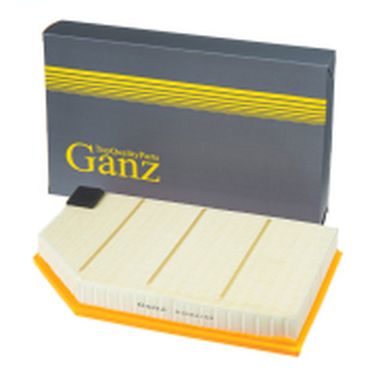 GANZ GIR04252 Фильтр воздушный - 1