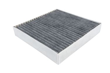 RAF Filter RSTC003LR Фильтр салона угольный - 1