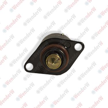 WENDERW WECR001 Регулятор холостого хода chevrolet aveo (t200, t250) (03-11), lanos (04-…) - 2