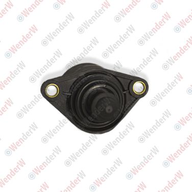 WENDERW WECR002 Регулятор холостого хода citroen C3 (02-09), peugeot 306 (93-03), 307 (01-07), partner (96-02) - 1