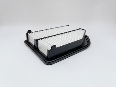 BIG Filter GB-95160 Фильтр воздушный - 3