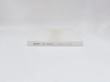 BIG Filter GB-98087 Фильтр салона - 1