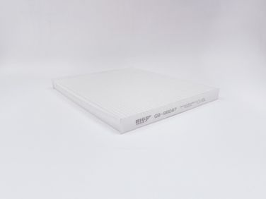 BIG Filter GB-98087 Фильтр салона - 2