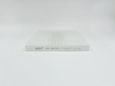 BIG Filter GB-98093 Фильтр салона - 1