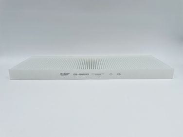 BIG Filter GB-98095 Фильтр салона HCV - 1