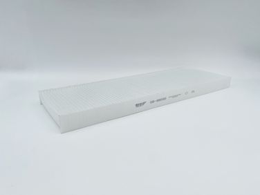BIG Filter GB-98095 Фильтр салона HCV - 2