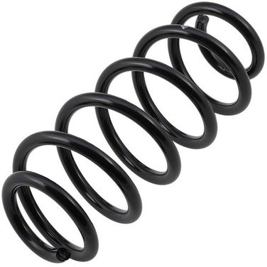ZIKMAR Z48098R Пружина подвески передней Audi A4, A6, Skoda Superb, VW Passat B5, L348-D135-t14 - 1