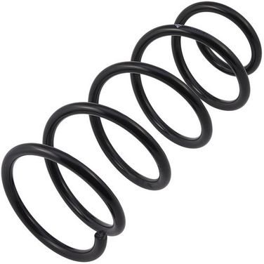 ZIKMAR Z48159R Пружина подвески передней Renault Kangoo, Nissan Kubistar Van (x76), L353-D144-t12,75 - 1