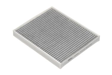 RAF Filter RSTC001FO Фильтр салона - 2