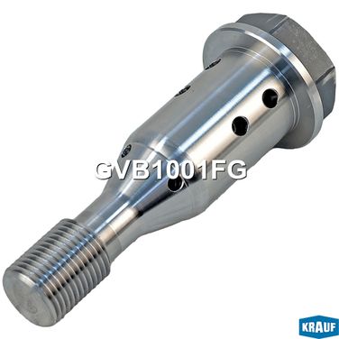 Krauf GVB1001FG Клапан центральный распредвала - 1