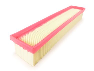 RAF Filter RST16546BN700 Фильтр воздушный - 2