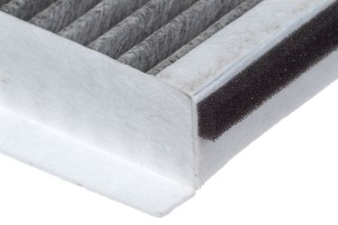 RAF Filter RSTC003BMY Фильтр салона угольный - 4
