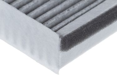 RAF Filter RSTC020 Фильтр салона угольный - 6